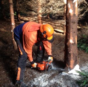 Forestry First Aid