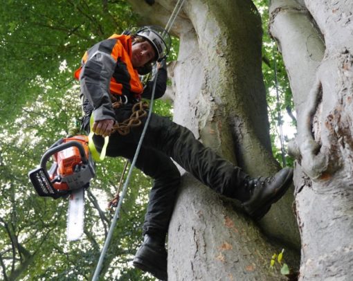 Forestry First Aid